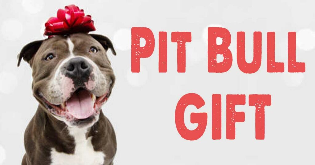 Pitbull Gift Feature Image Post | CM Things